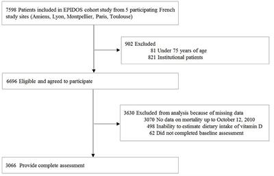 Higher dietary vitamin D intake is associated with better survival among older women: Results from the French EPIDOS cohort